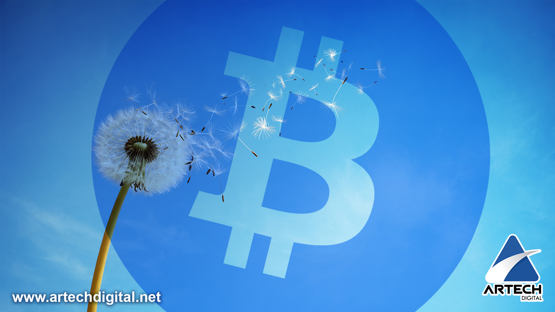 Sin rastro, proyecto de privacidad para la red Bitcoin “Dandelion”