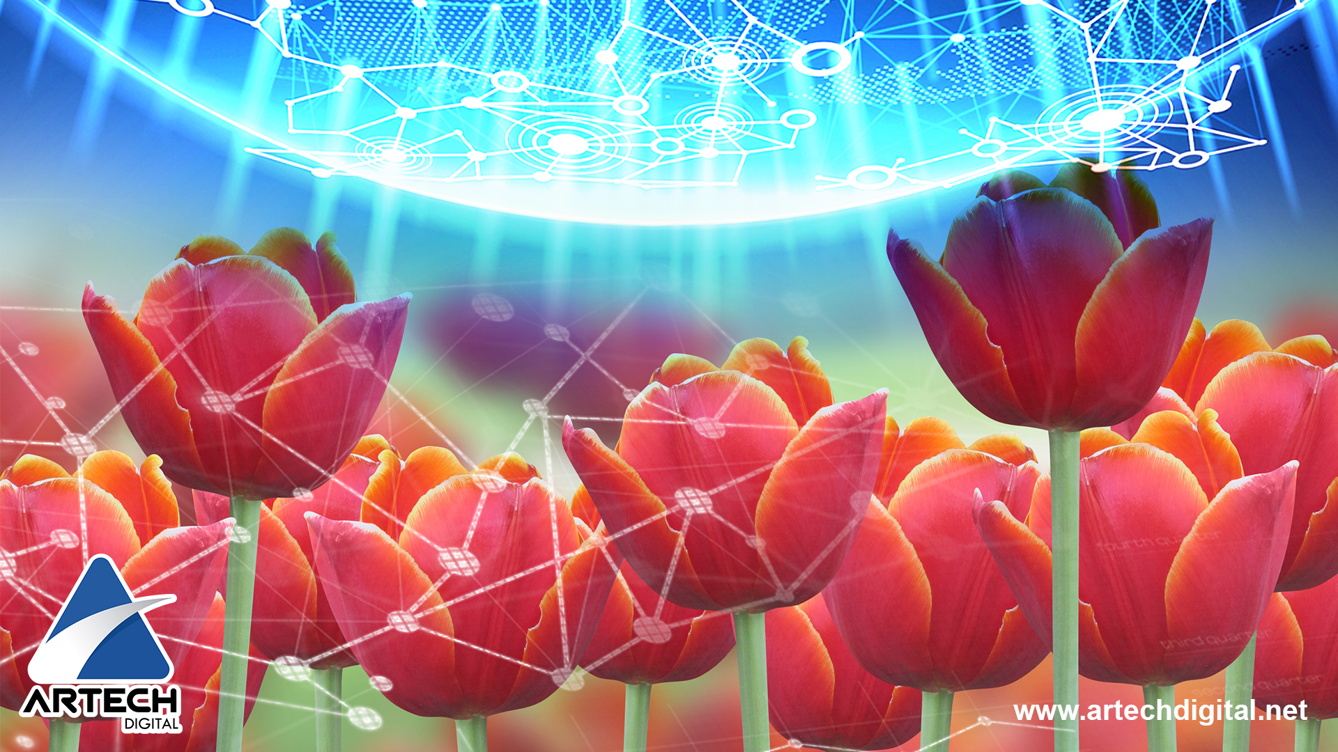 “Texel” Tulipanes digitales bajo Blockchain: “Un arte que no se puede colgar en la pared”